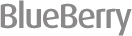 BlueBerry Logo